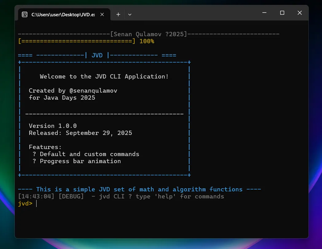 JVD CLI screen 4